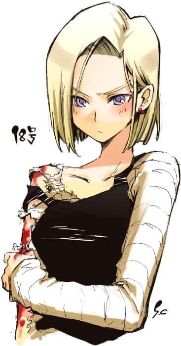 49 Android 18 Nude Pictures Which Prove Beauty Beyond Recognition 17