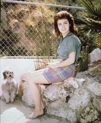 52 Annette Funicello Nude Pictures Show Off Her Dashing Diva Like Looks 595