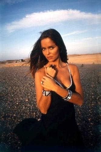 50 Barbara Bach Nude Pictures Which Are Unimaginably Unfathomable 88