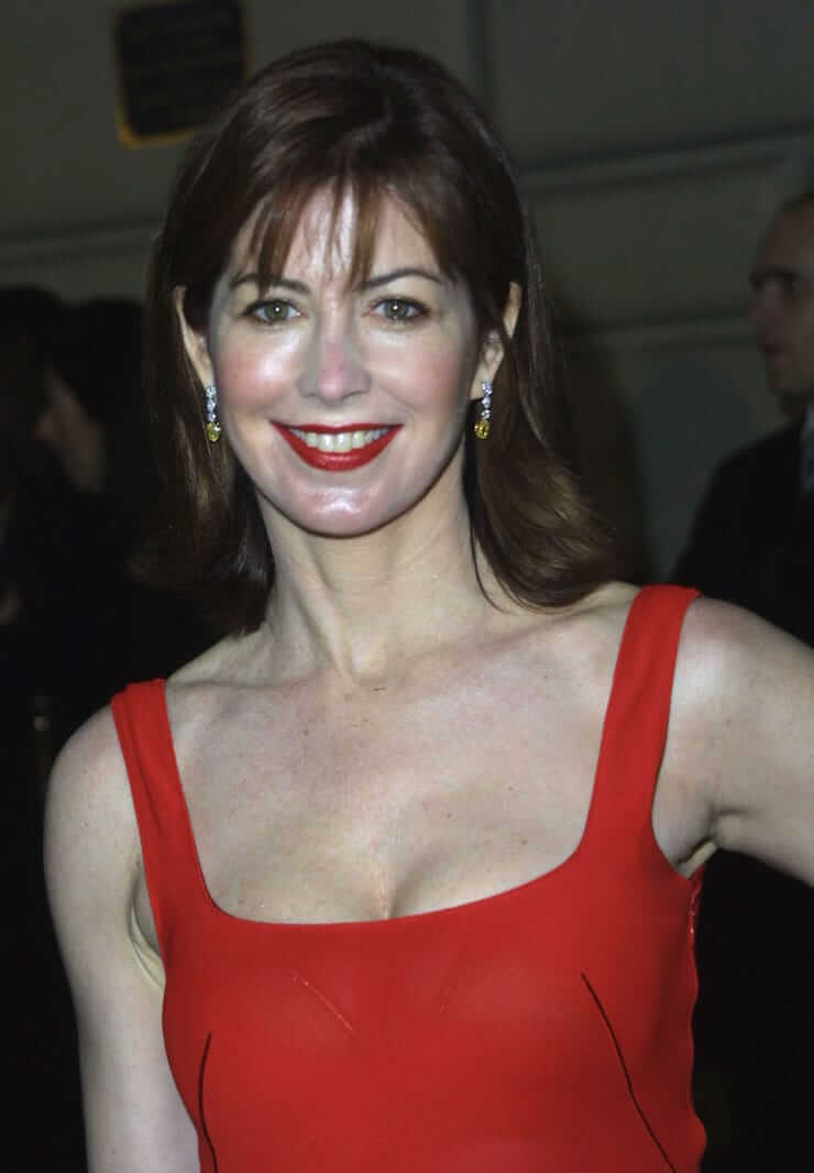 60+ Hottest Dana Delany Boobs Pictures Proves She Is A Shining Light Of Beauty 313