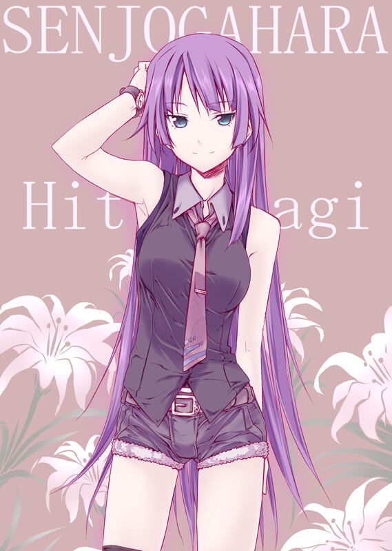 49 Hitagi Senjougahara Nude Pictures Will Put You In A Good Mood 11