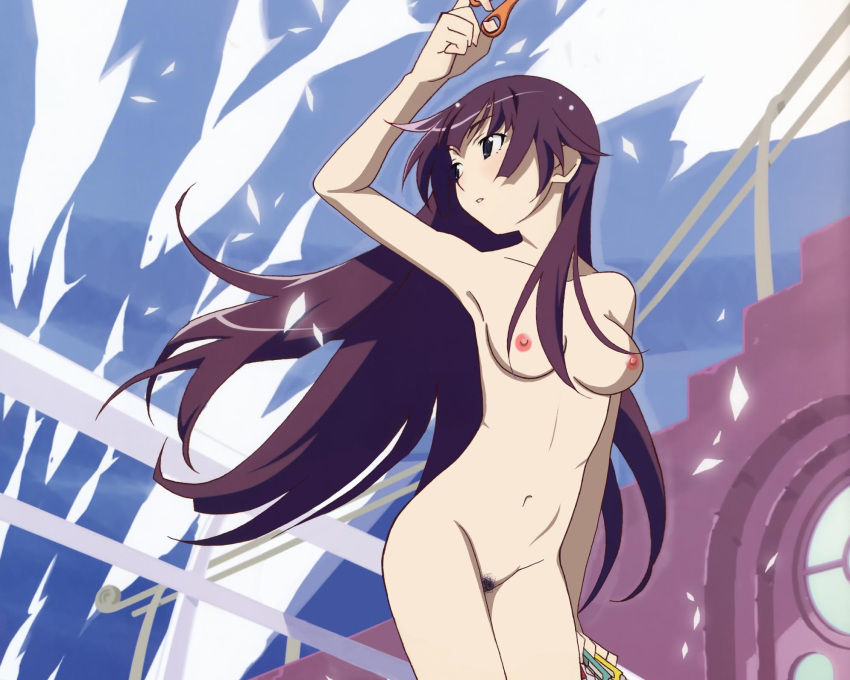 Hitagi Senjougahara naked