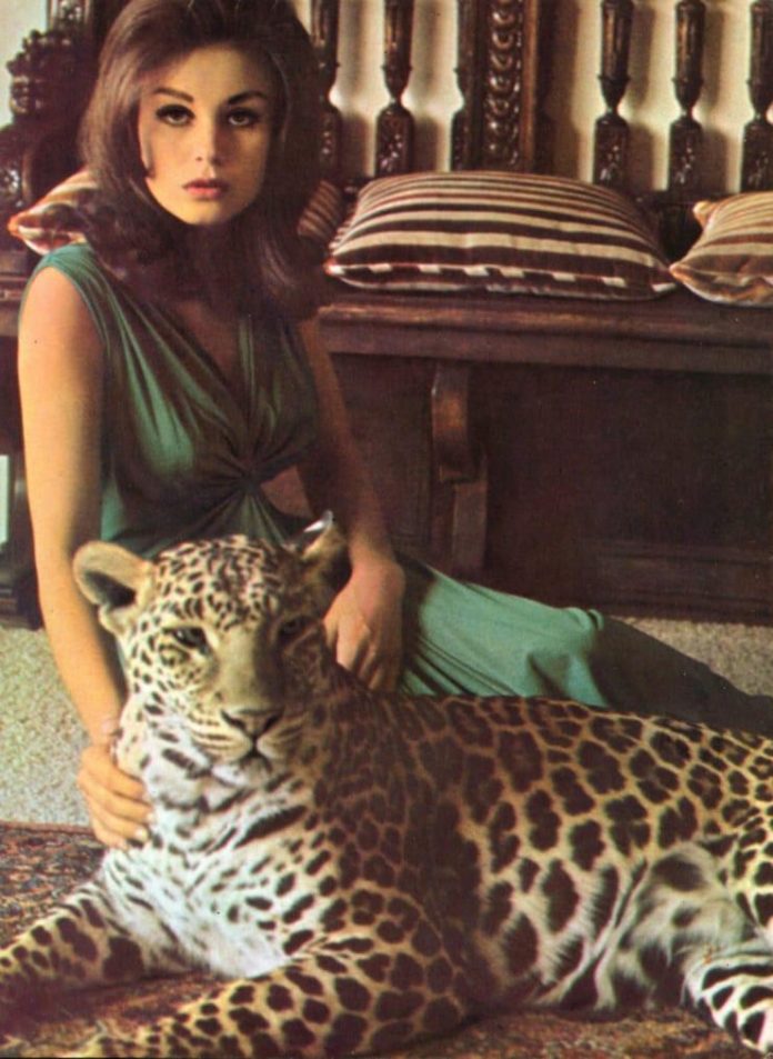 48 Lana Wood Nude Pictures Are An Exemplification Of Hotness 163