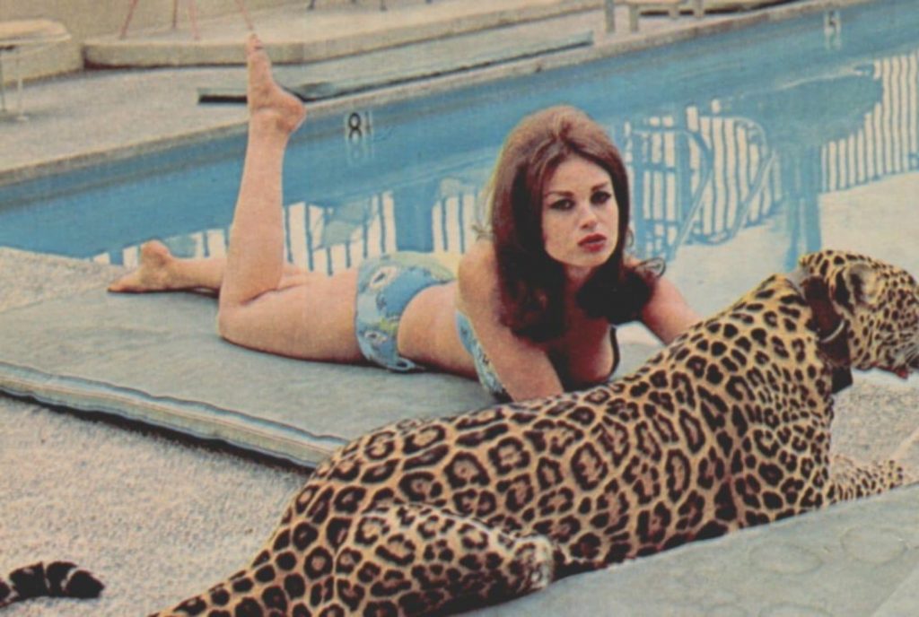 48 Lana Wood Nude Pictures Are An Exemplification Of Hotness 7