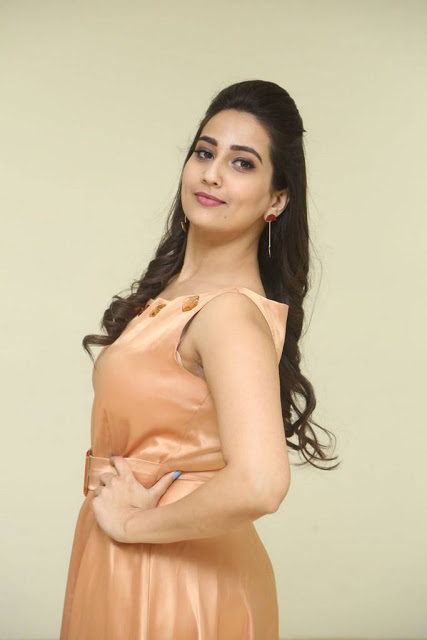 Manjusha Stills At Telugu Movie Trailer Launch 86