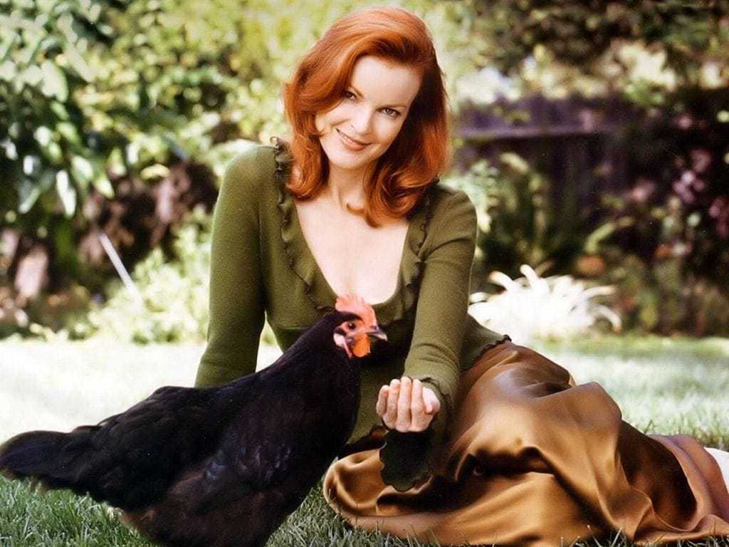 50 Marcia Cross Nude Pictures Uncover Her Attractive Physique 25