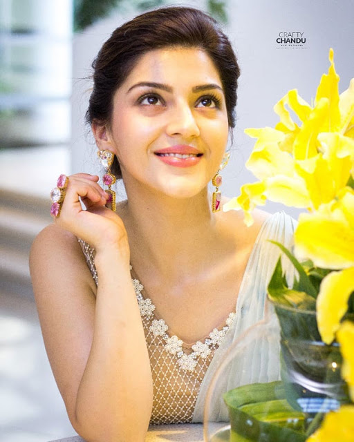 Actress Mehreen Kaur Latest Cute Photos 10