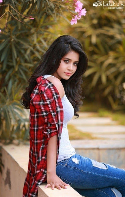 Telugu Actress Nabha Natesh Latest Photoshoot Pics 4