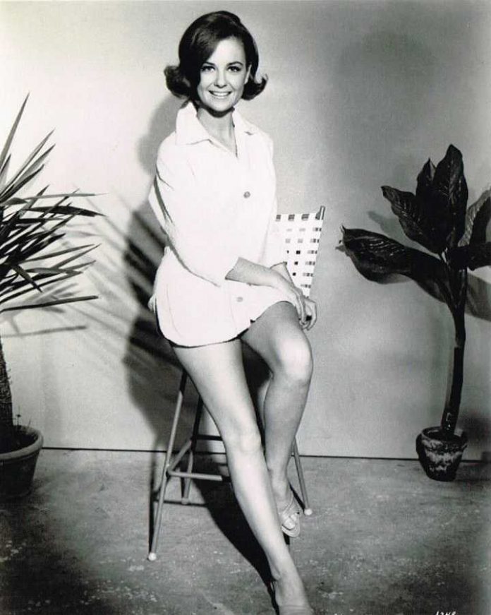 42 Shelley Fabares Nude Pictures Can Make You Submit To Her Glitzy Looks 20