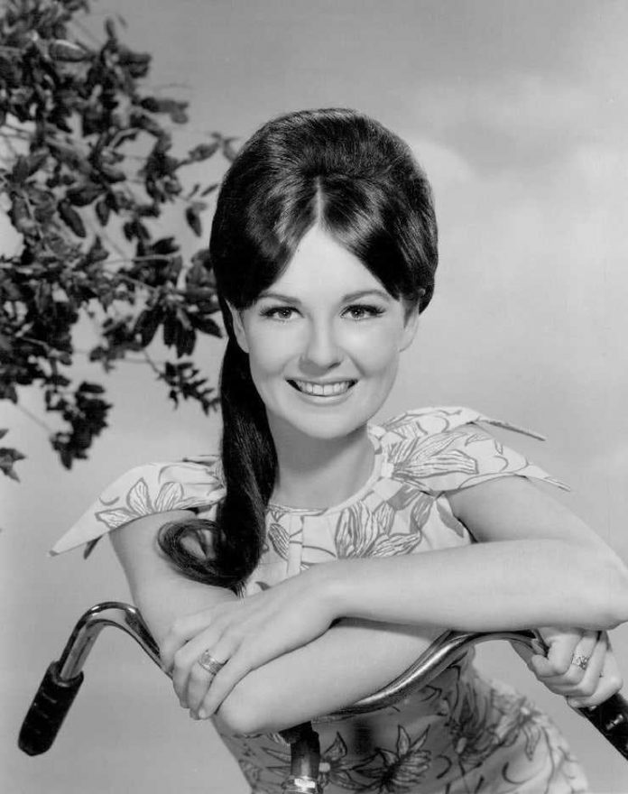 42 Shelley Fabares Nude Pictures Can Make You Submit To Her Glitzy Looks 14