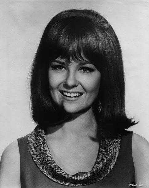 42 Shelley Fabares Nude Pictures Can Make You Submit To Her Glitzy Looks 34