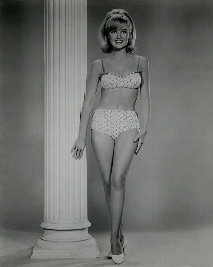42 Shelley Fabares Nude Pictures Can Make You Submit To Her Glitzy Looks 8