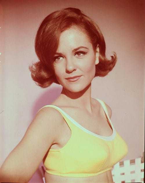 42 Shelley Fabares Nude Pictures Can Make You Submit To Her Glitzy Looks 32