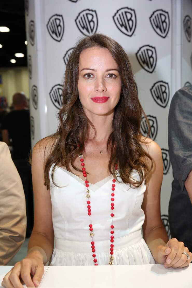 70+ Hot Pictures of Amy Acker Will Make You Desire Her Like No Other Thing 49