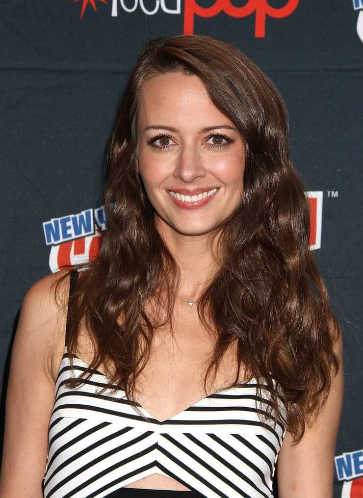 70+ Hot Pictures of Amy Acker Will Make You Desire Her Like No Other Thing 37