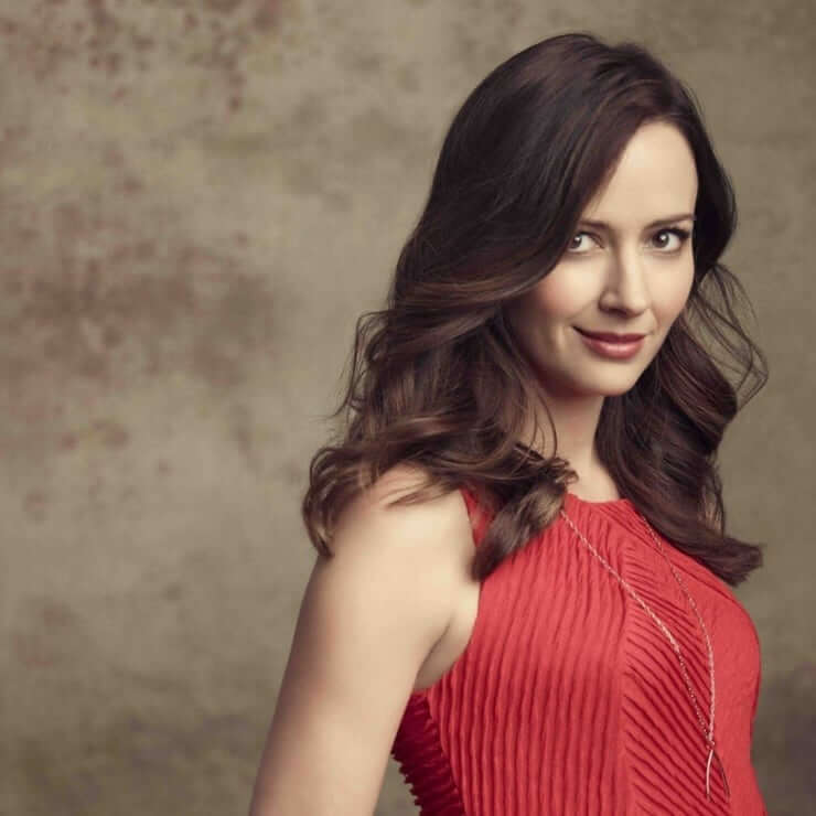 70+ Hot Pictures of Amy Acker Will Make You Desire Her Like No Other Thing 52