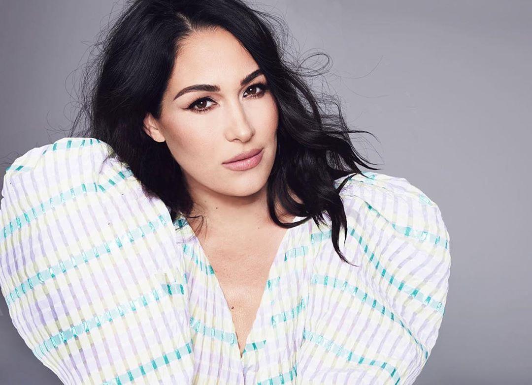 60+ Hot Pictures of Brie Bella Will Drive You Nuts For Her 195
