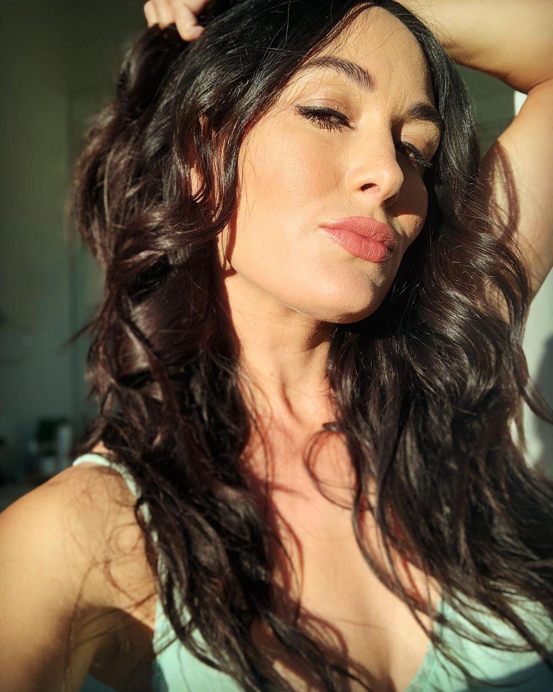 60+ Hot Pictures of Brie Bella Will Drive You Nuts For Her 6