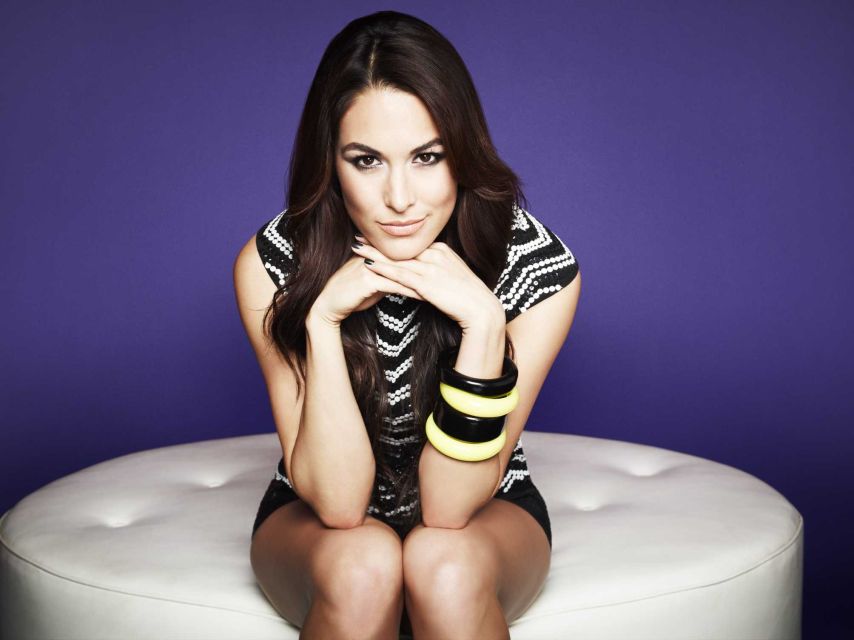 60+ Hot Pictures of Brie Bella Will Drive You Nuts For Her -