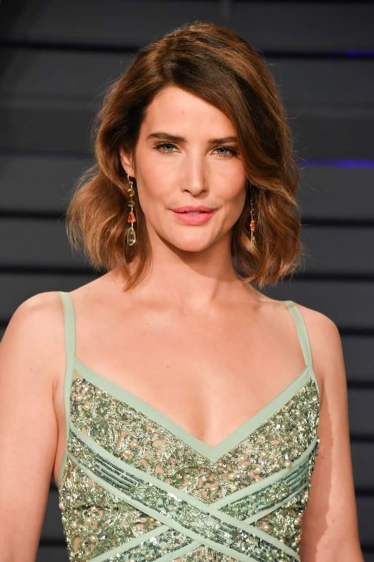 70+ Hot Pictures Of Cobie Smulders – Maria Hill Actress In Marvel Movies 291