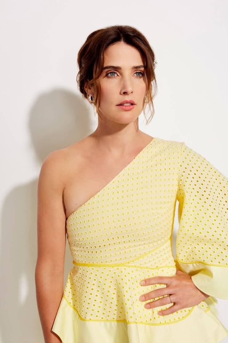 70+ Hot Pictures Of Cobie Smulders – Maria Hill Actress In Marvel Movies 34