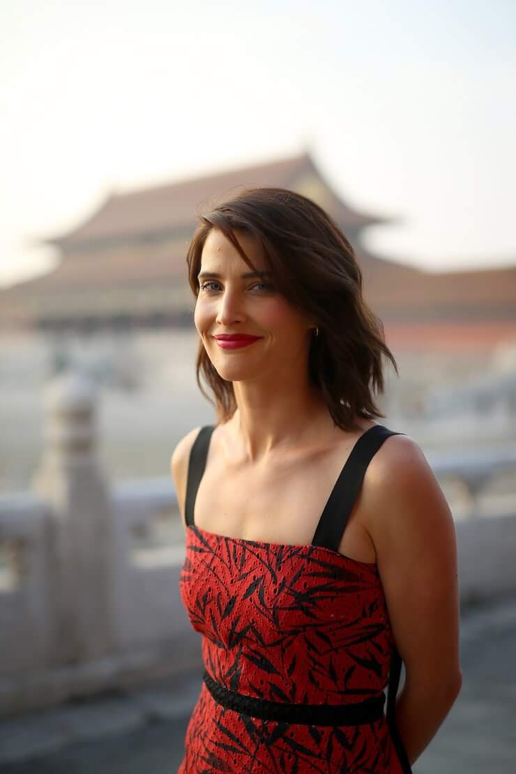 70+ Hot Pictures Of Cobie Smulders – Maria Hill Actress In Marvel Movies 302
