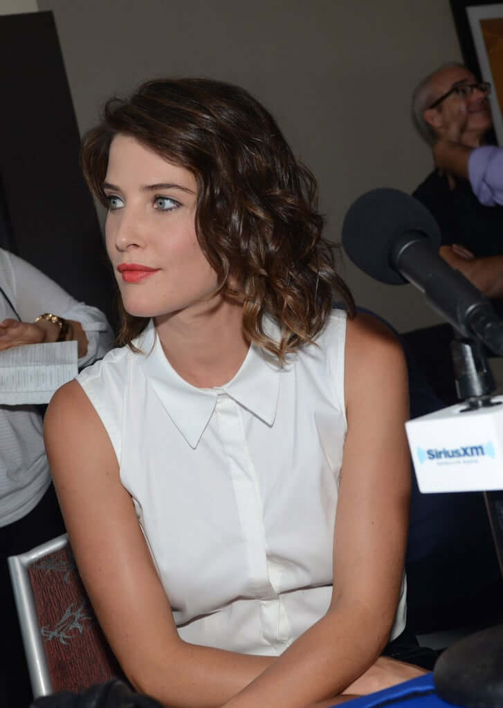 70+ Hot Pictures Of Cobie Smulders – Maria Hill Actress In Marvel Movies 288