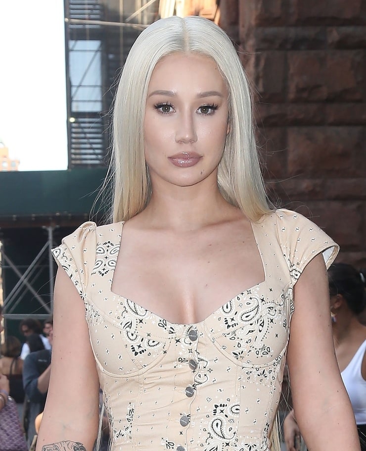70+ Hot Pictures of Iggy Azalea’s Beautiful Butt Will Drive You Nuts For Her 19
