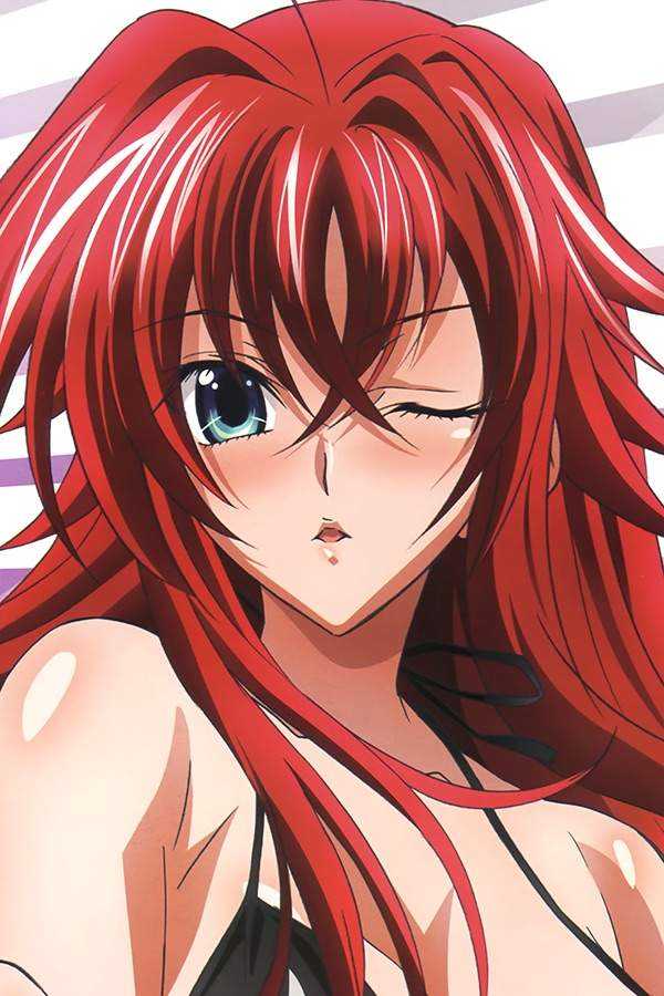 48 Sexy and Hot Rias Gremory Pictures – Bikini, Ass, Boobs 32
