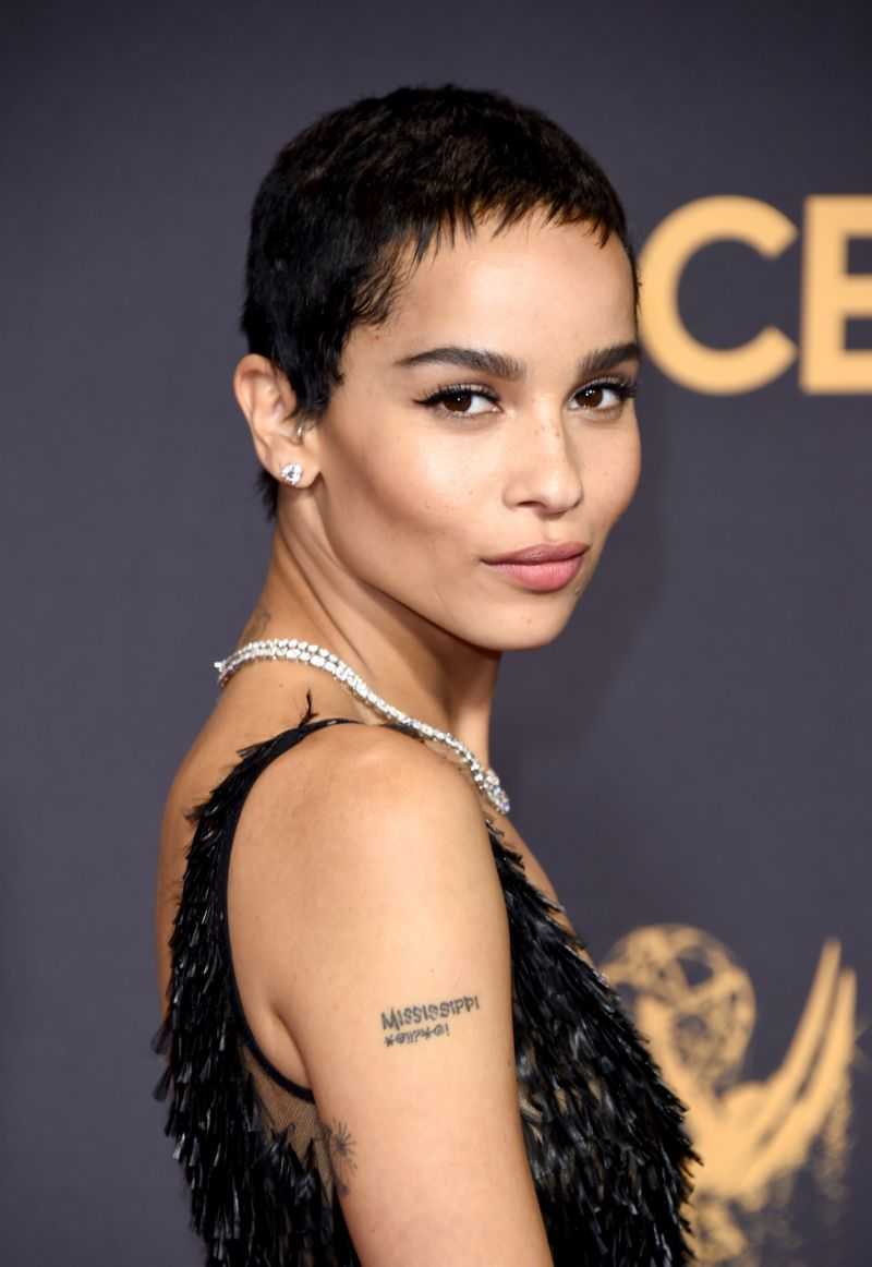 70+ Hottest Pictures Of Zoe Kravitz Which Will Cause You To Turn Out To Be Captivated With Her Alluring Body 11