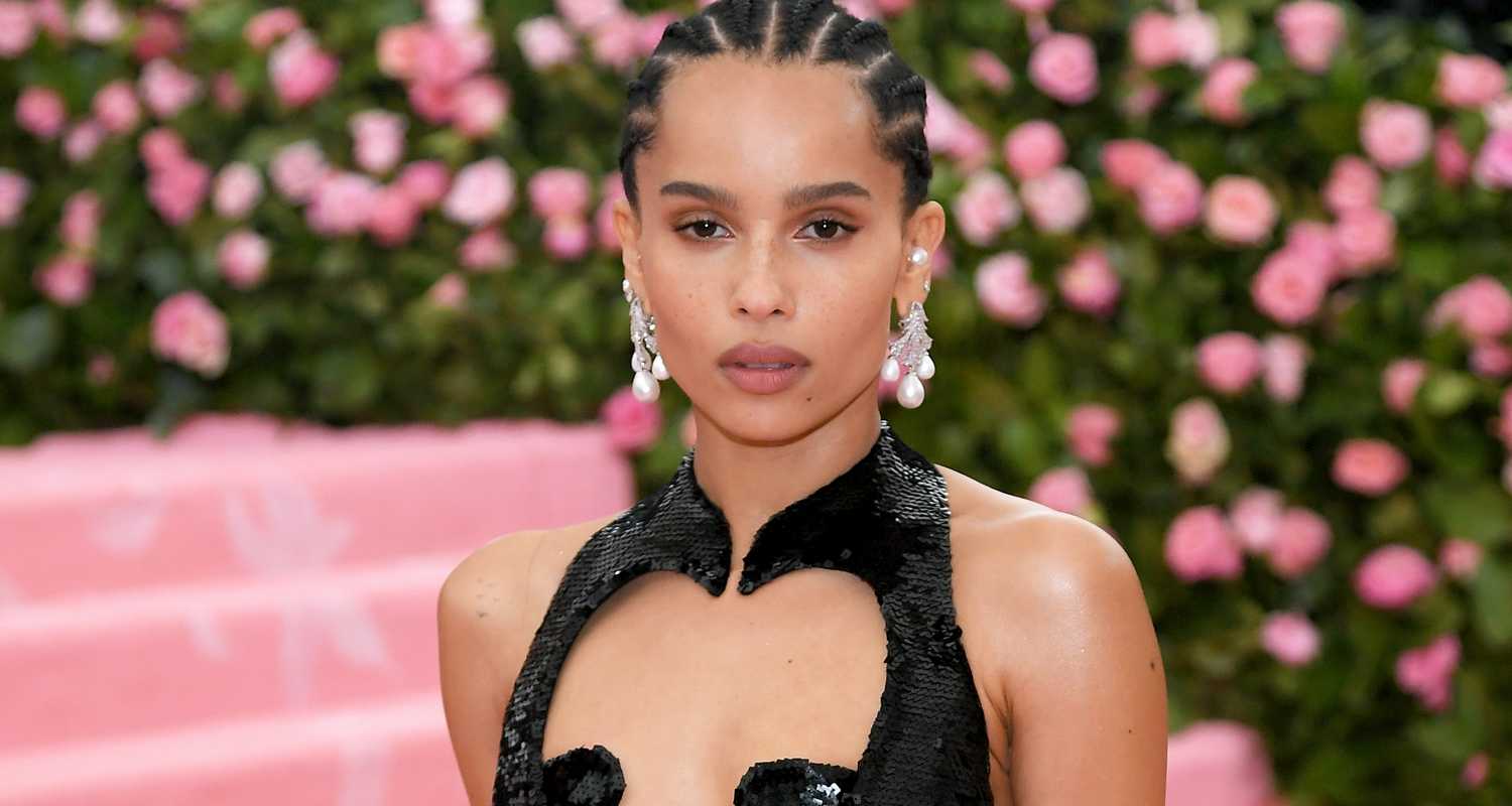 70+ Hottest Pictures Of Zoe Kravitz Which Will Cause You To Turn Out To Be Captivated With Her Alluring Body 399