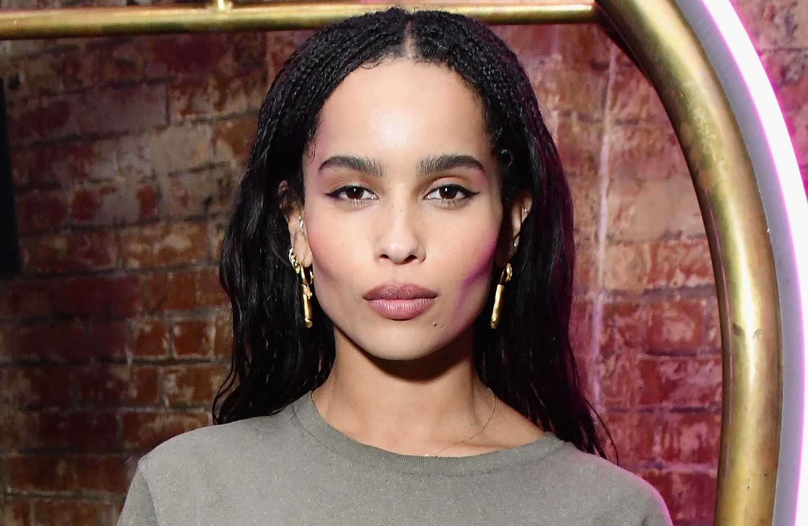 70+ Hottest Pictures Of Zoe Kravitz Which Will Cause You To Turn Out To Be Captivated With Her Alluring Body 392