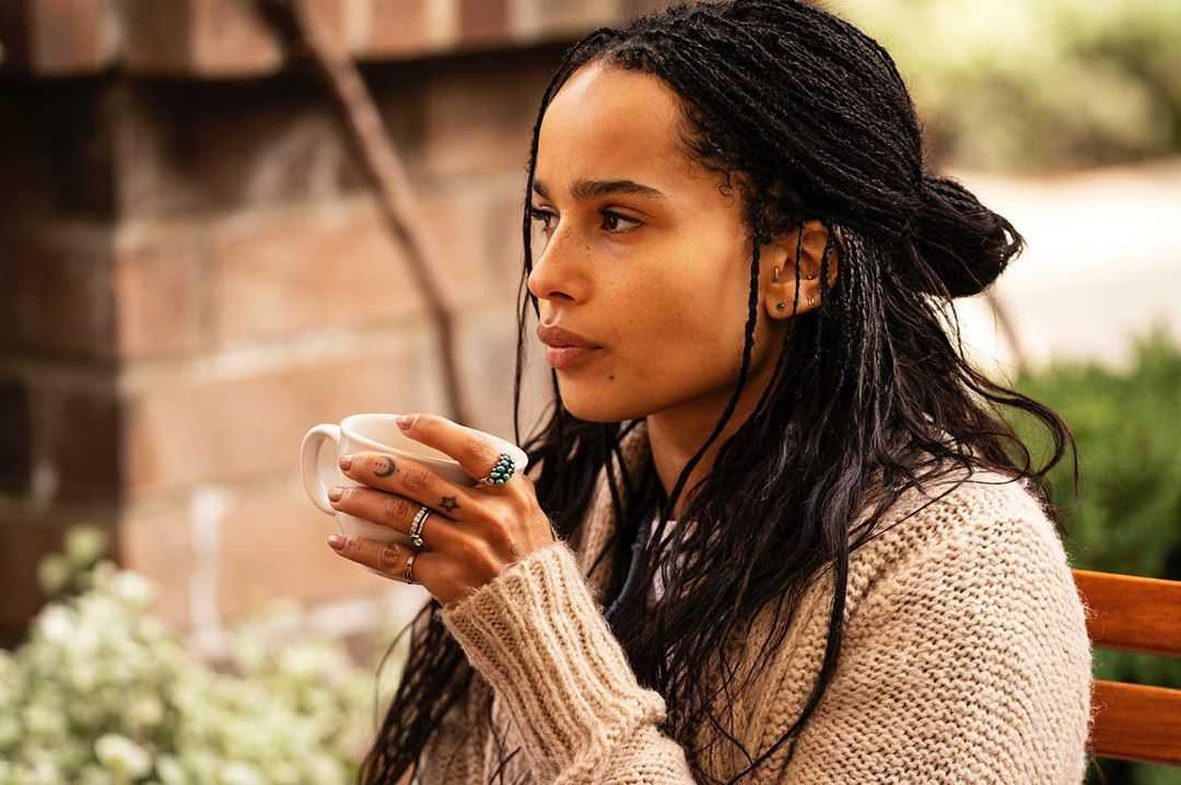 70+ Hottest Pictures Of Zoe Kravitz Which Will Cause You To Turn Out To Be Captivated With Her Alluring Body 8