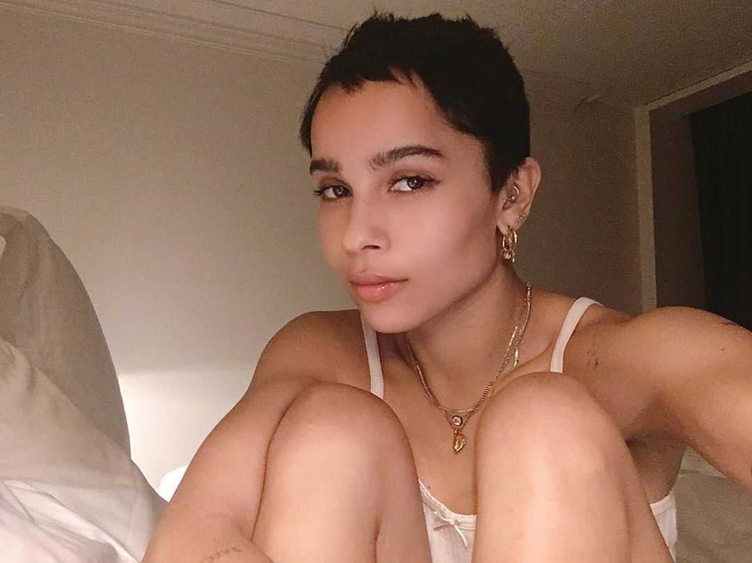 70+ Hottest Pictures Of Zoe Kravitz Which Will Cause You To Turn Out To Be Captivated With Her Alluring Body 9