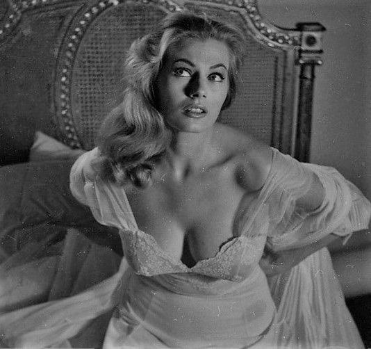 51 Sexy Anita Ekberg Boobs Pictures Which Will Make You Slobber For Her 27