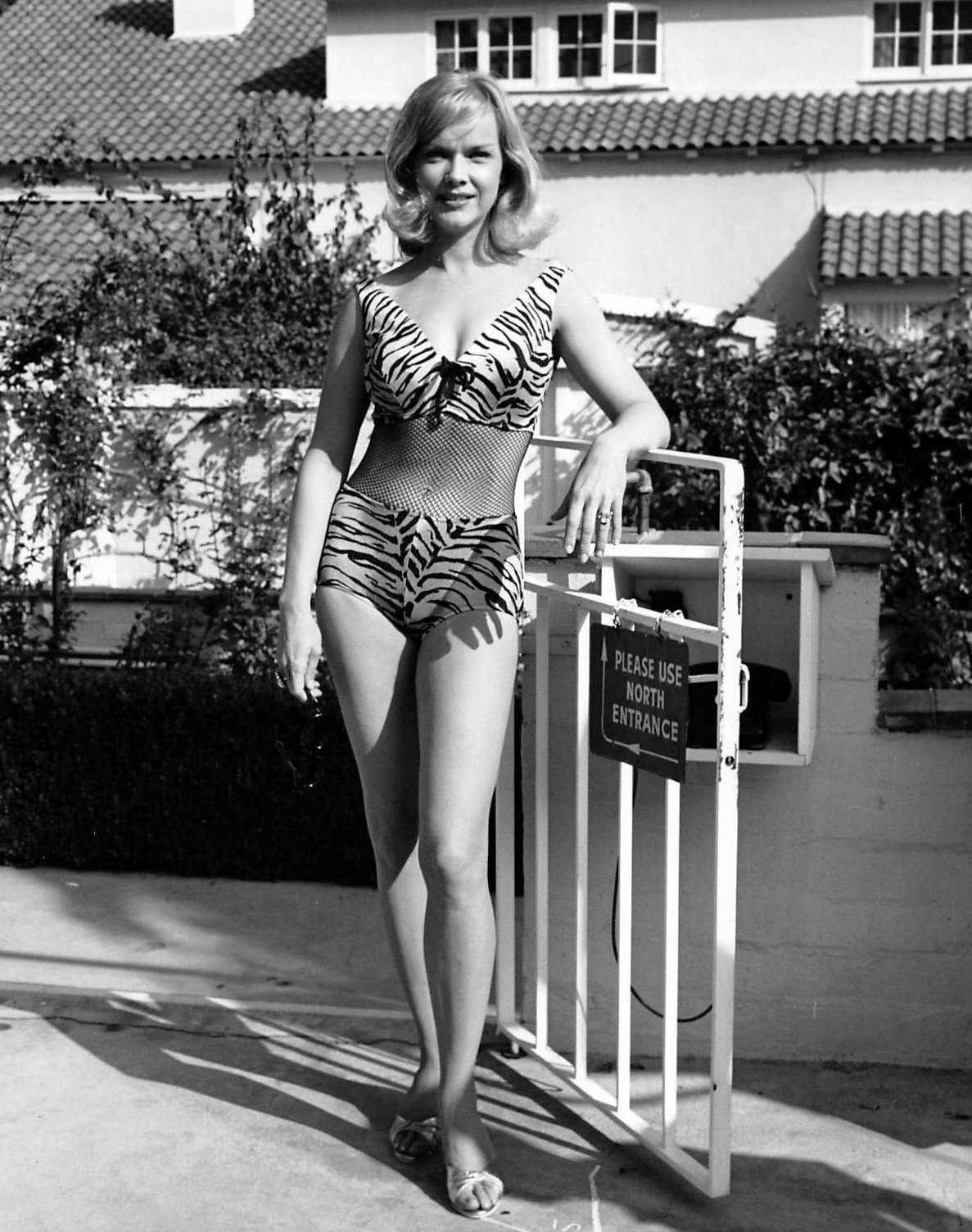 Anne Francis hot pictures