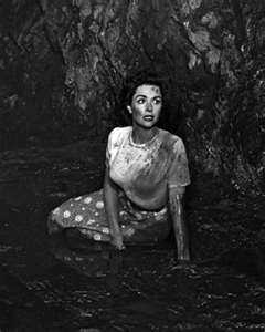 51 Hottest Dana Wynter Big Butt Pictures Are Embodiment Of Hotness 5