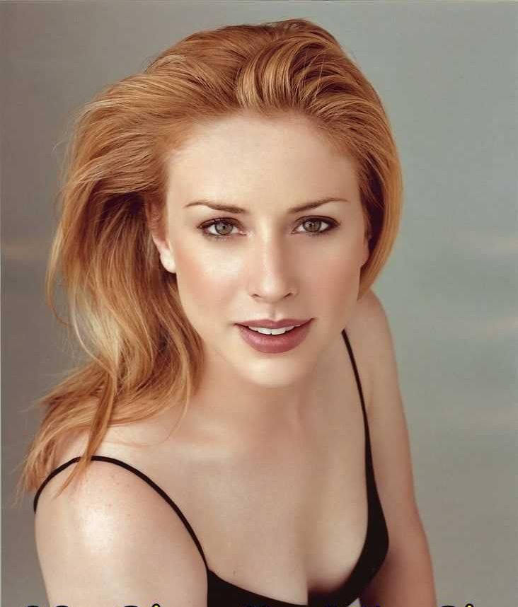 51 Sexy Diane Neal Boobs Pictures Which Are Inconceivably Beguiling 49