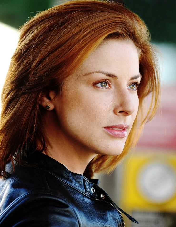 51 Sexy Diane Neal Boobs Pictures Which Are Inconceivably Beguiling 50