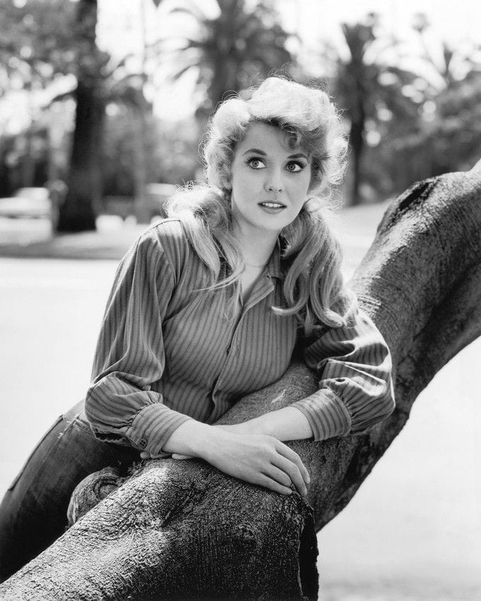 42 Donna Douglas Nude Pictures Are Sure To Keep You At The Edge Of Your Seat 464