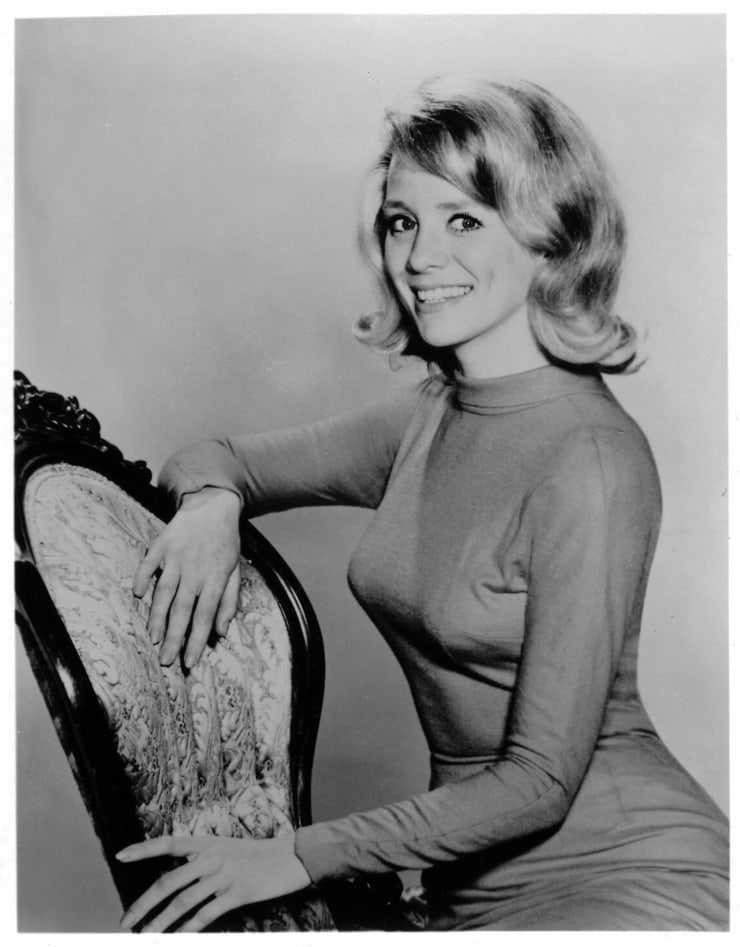 51 Sexy Inger Stevens Boobs Pictures Which Will Make You Swelter All Over 23