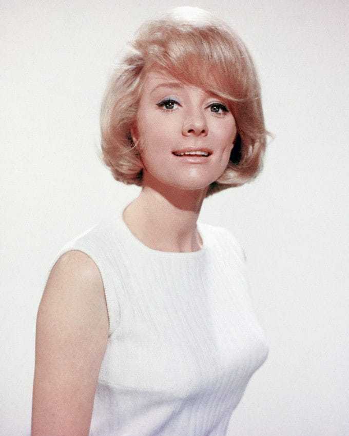 51 Sexy Inger Stevens Boobs Pictures Which Will Make You Swelter All Over 5