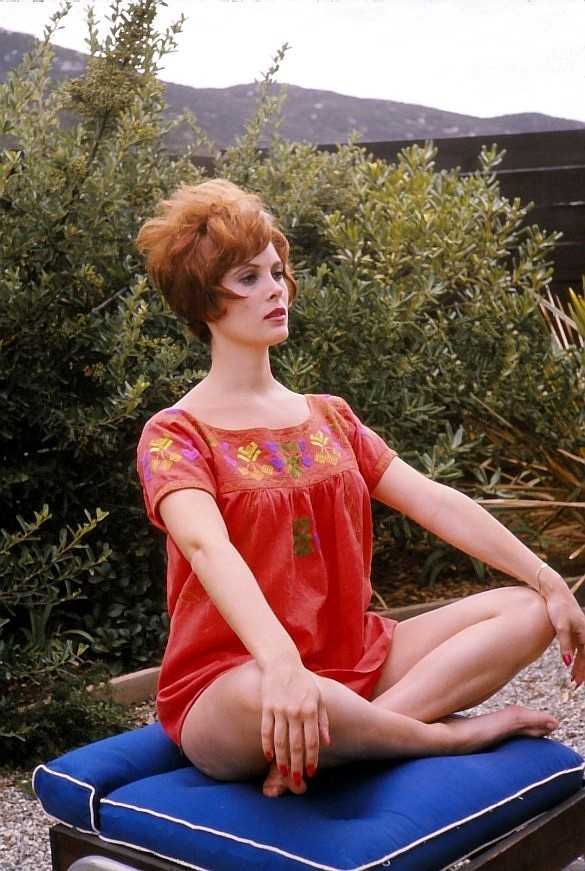 51 Hottest Jill St. John Big Butt Pictures Are Windows Into Paradise 14