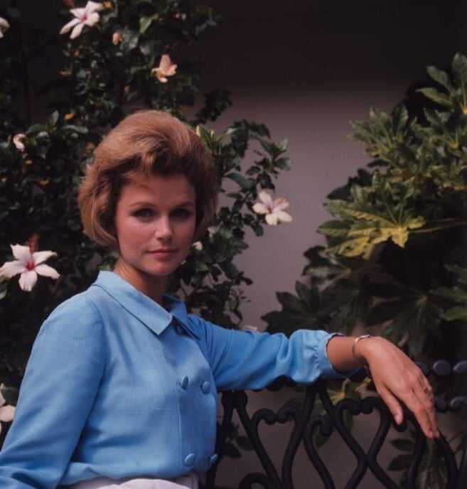51 Hottest Lee Remick Big Butt Pictures Which Will Cause You To Surrender To Her Inexplicable Beauty 26