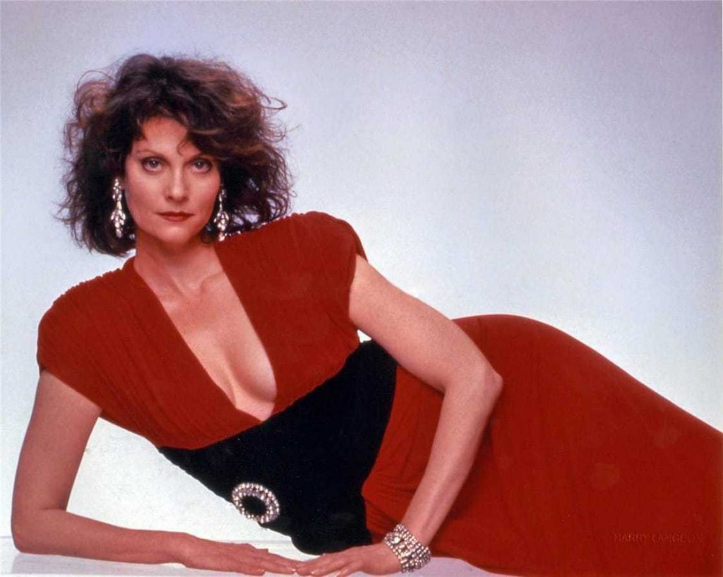 49 Hottest Lesley Ann Warren Big Butt Pictures That Will Fill Your Heart With Triumphant Satisfaction 50