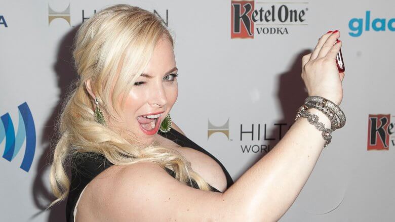Meghan McCain awesome hot pictures (1)