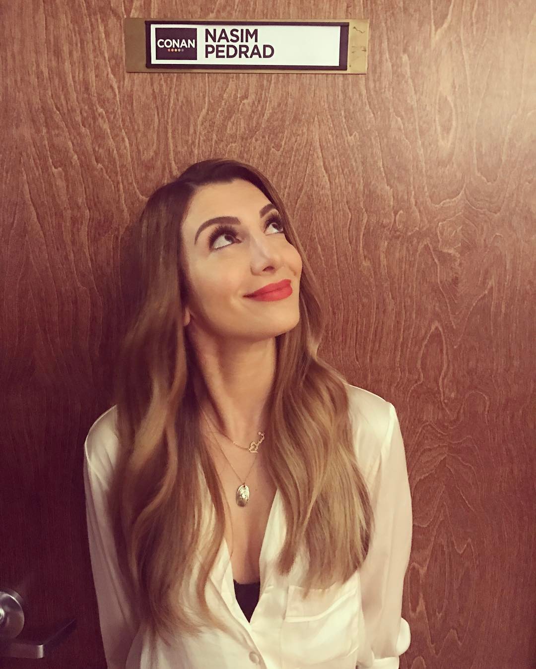 60+ Nasim Pedrad Boobs Pictures Are Simply Excessively Damn Hot 185