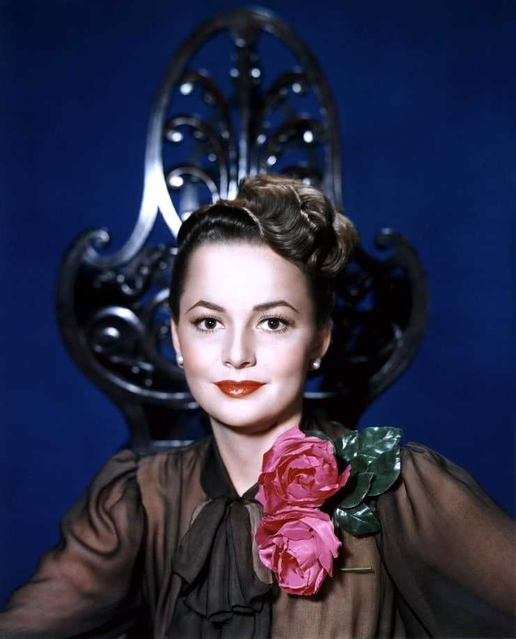 51 Sexy Olivia de Havilland Boobs Pictures Are Sure To Leave You Baffled 642