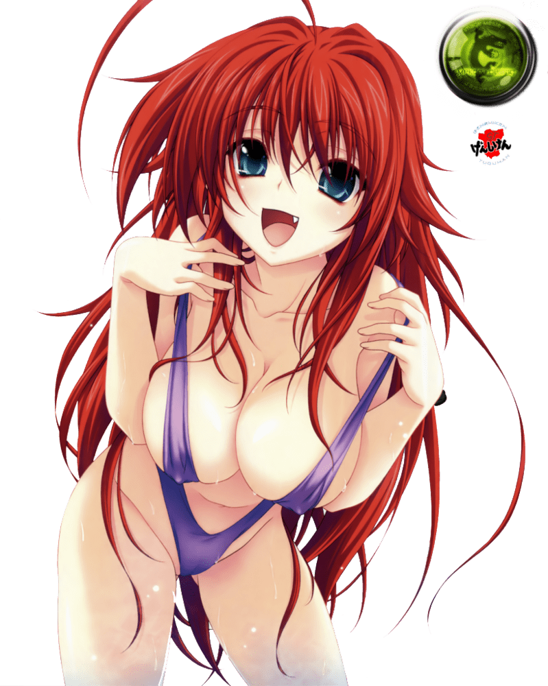 Rias Gremory cleavage