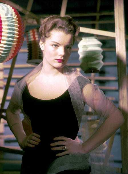 51 Sexy Romy Schneider Boobs Pictures Which Will Get All Of You Perspiring 20